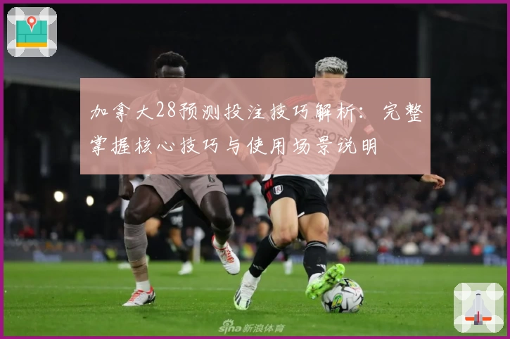 加拿大28预测投注技巧解析：完整掌握核心技巧与使用场景说明