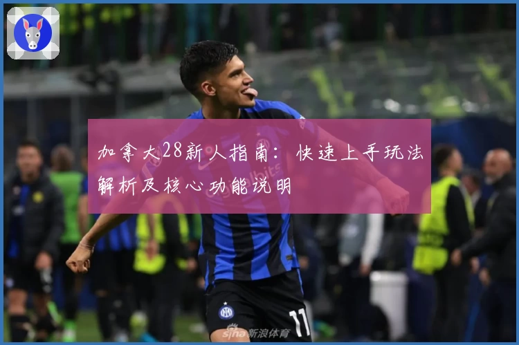 加拿大28新人指南：快速上手玩法解析及核心功能说明