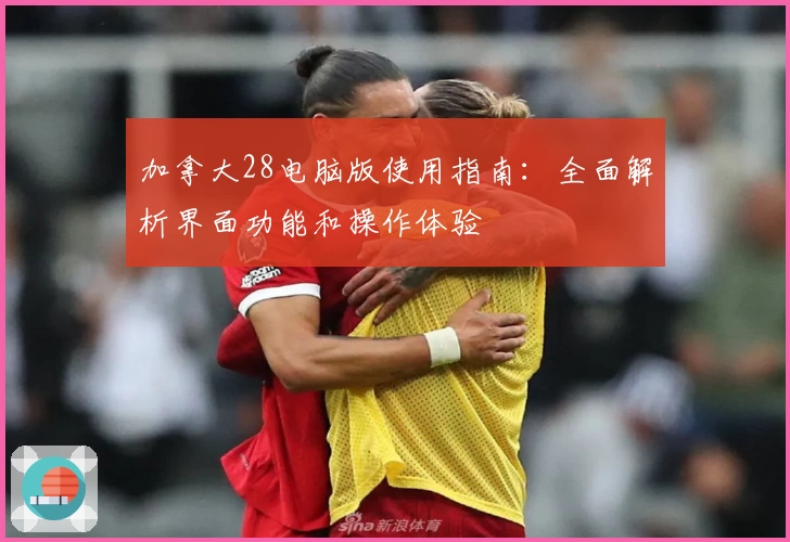 加拿大28电脑版使用指南：全面解析界面功能和操作体验