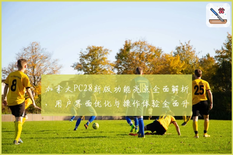 加拿大PC28新版功能亮点全面解析,用户界面优化与操作体验全面升级
