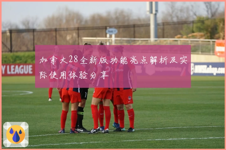 加拿大28全新版功能亮点解析及实际使用体验分享