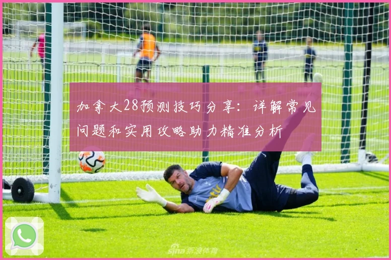 加拿大28预测技巧分享：详解常见问题和实用攻略助力精准分析