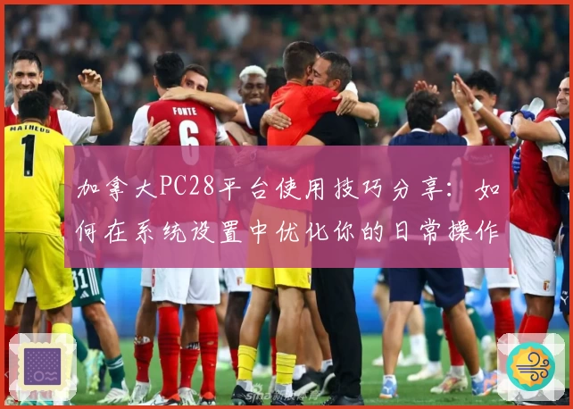 加拿大PC28平台使用技巧分享：如何在系统设置中优化你的日常操作体验