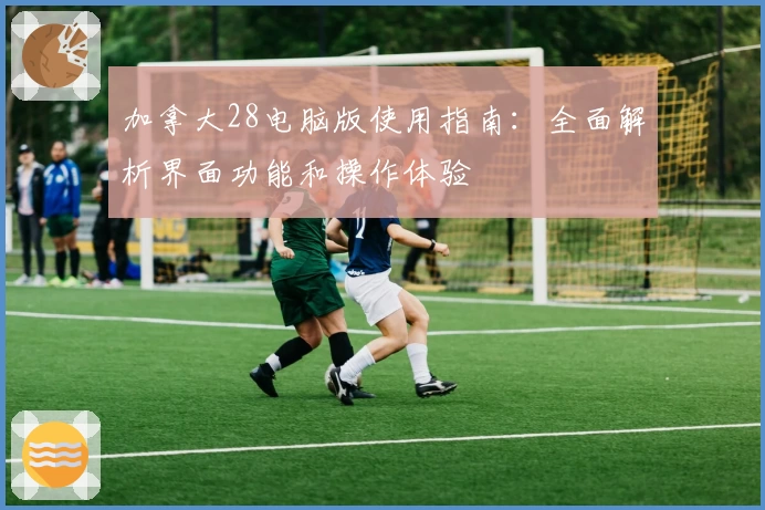 加拿大28电脑版使用指南：全面解析界面功能和操作体验