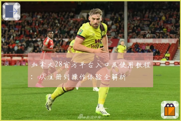 加拿大28官方平台入口及使用教程：从注册到操作体验全解析