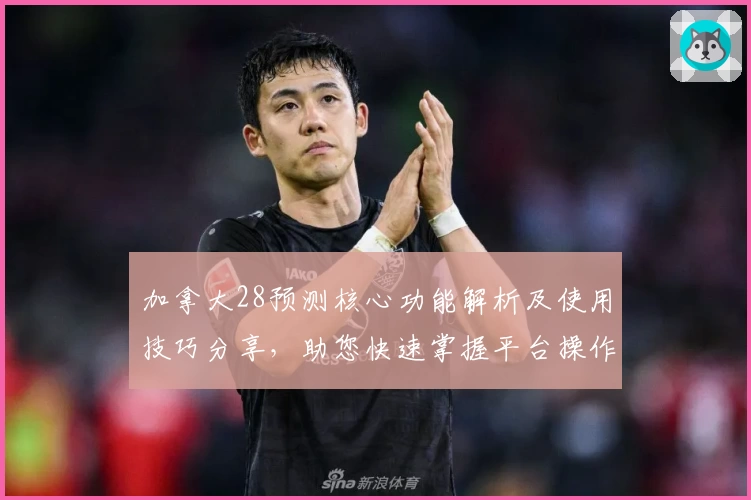 加拿大28预测核心功能解析及使用技巧分享，助您快速掌握平台操作流程
