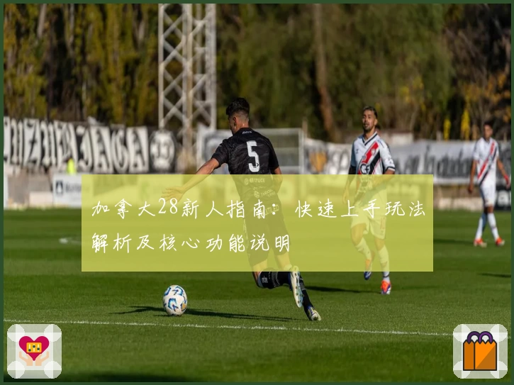 加拿大28新人指南：快速上手玩法解析及核心功能说明