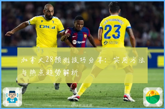 加拿大28预测技巧分享：实用方法与热点趋势解析